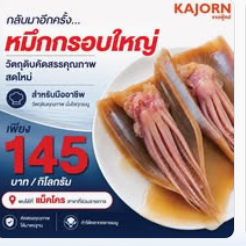KAJORN (ส่งฟรี) หมึกหอมเกรดซาชิมิ แช่แข็ง